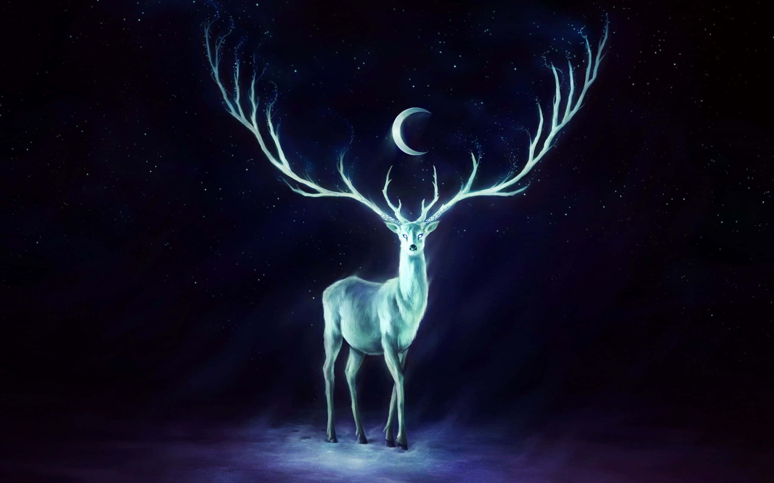 Winter Solstice, luminous white stag, glowing antlers, 2K Desktop Wallpaper