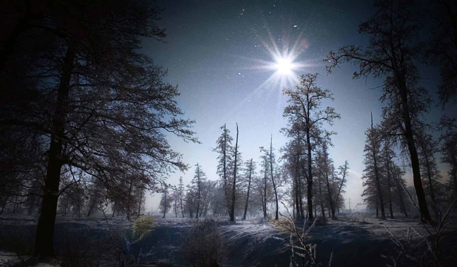 Winter Solstice, starburst moon, snowy forest, HD Desktop Wallpaper