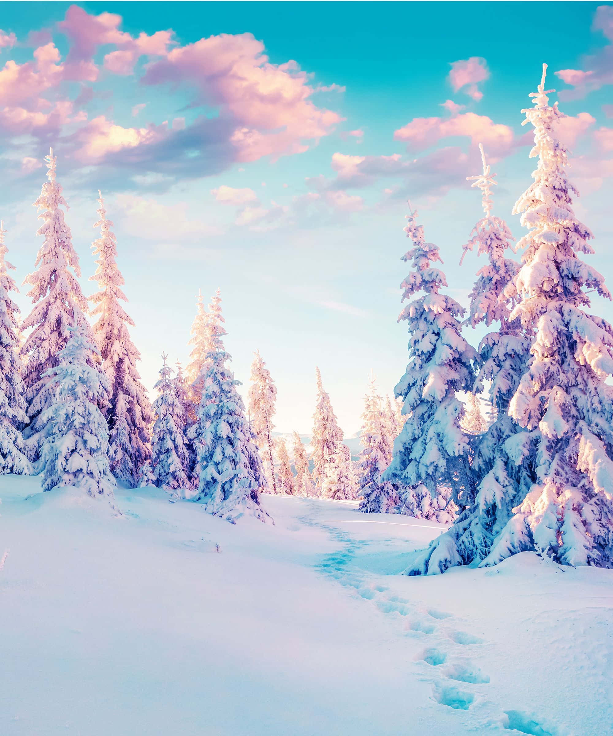 Winter Solstice, snowy forest path, snow-laden pine trees, Full HD Phone Wallpaper