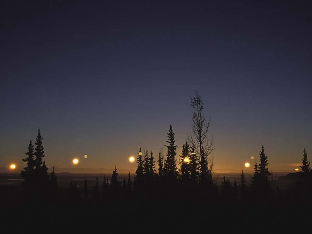 Winter Solstice, pine trees, twilight sky, SD Desktop Wallpaper