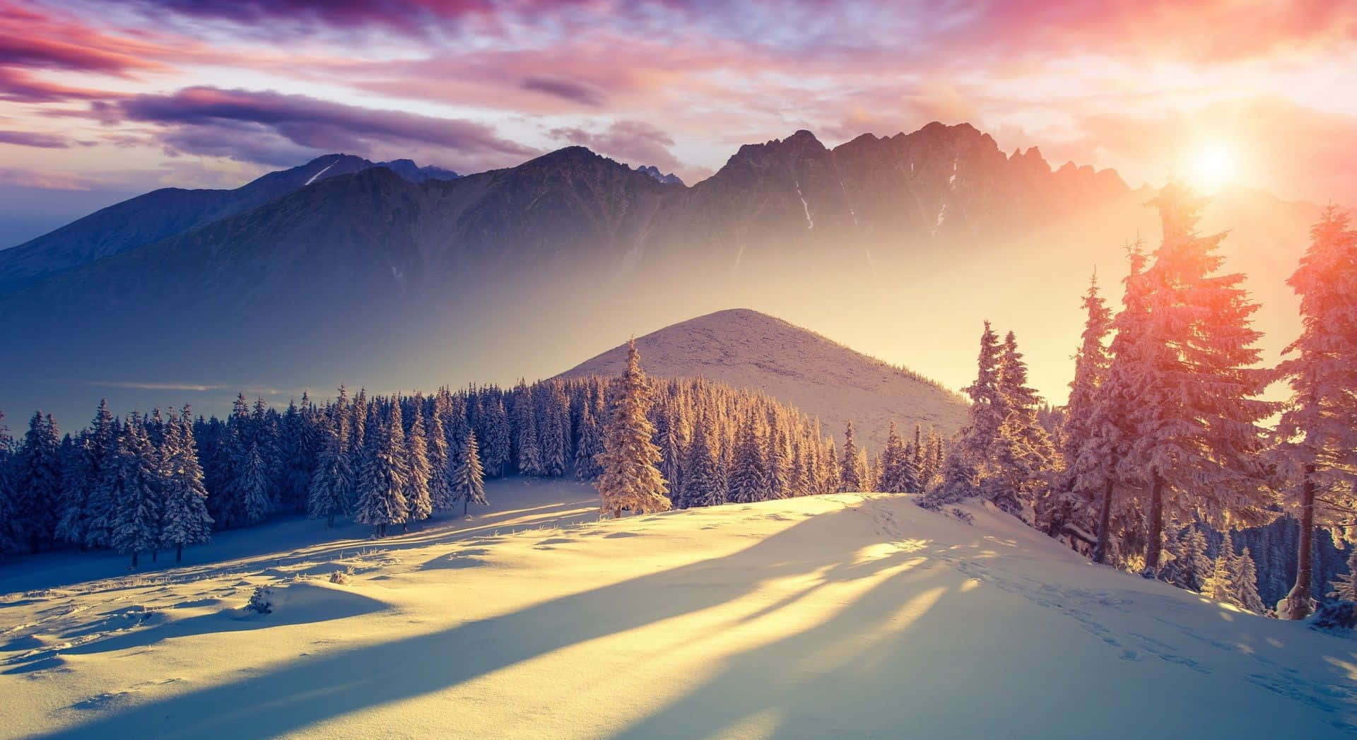 Winter Sun, snow-covered pine trees, mountains, Full HD Desktop Wallpaper