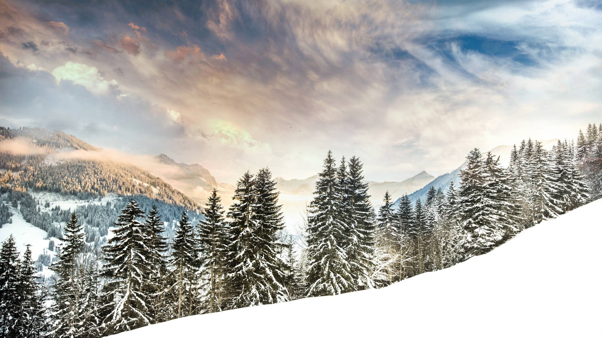 Daylight Winter Aesthetic, snow, evergreen trees, Full HD Desktop Wallpaper