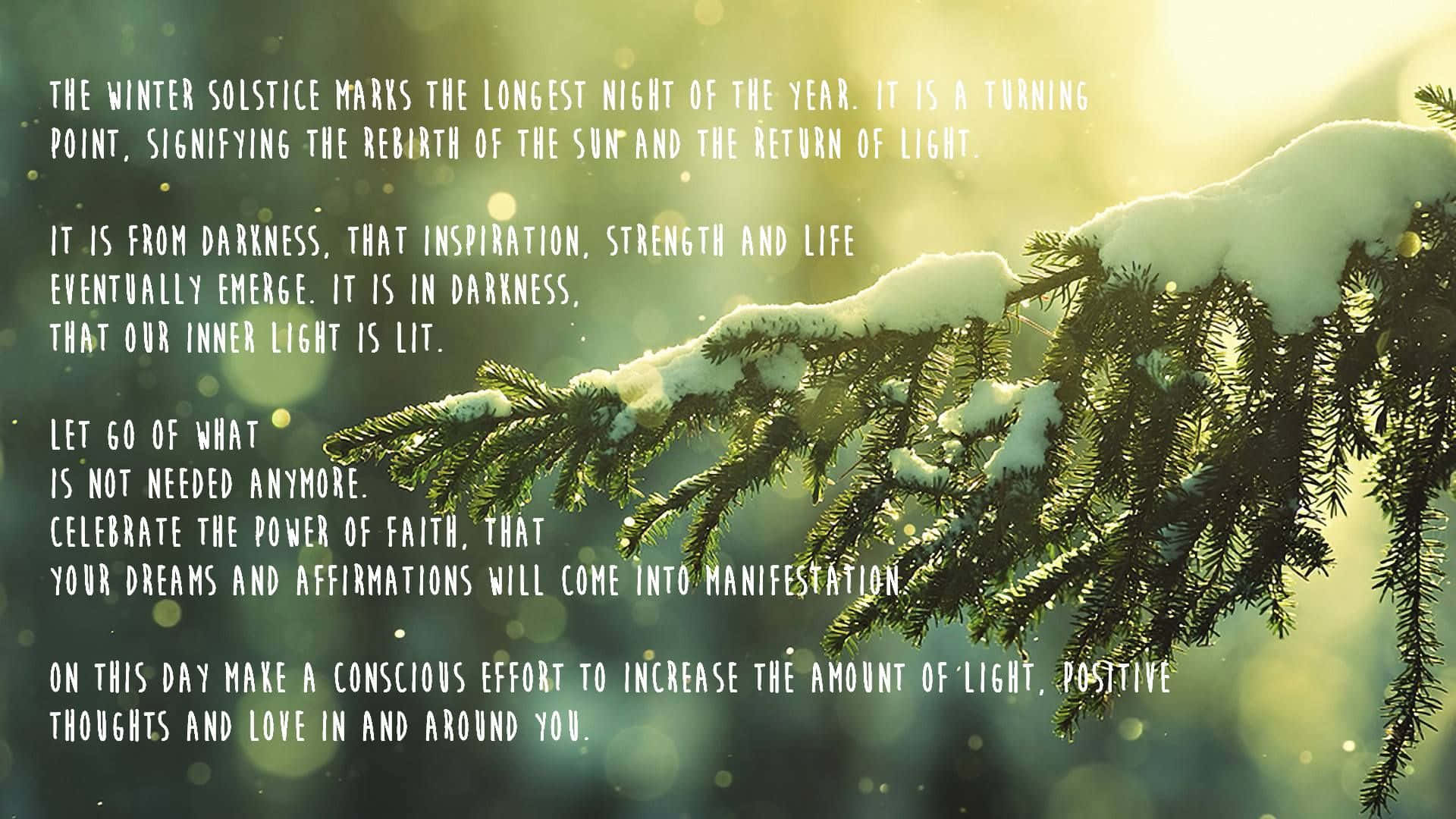 Winter Solstice, snow-dusted pine branch, golden sunrise light, Full HD Desktop Wallpaper