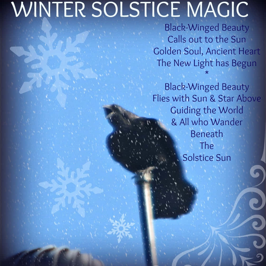Winter Solstice, black crow, snowy blue sky, SD Phone Wallpaper
