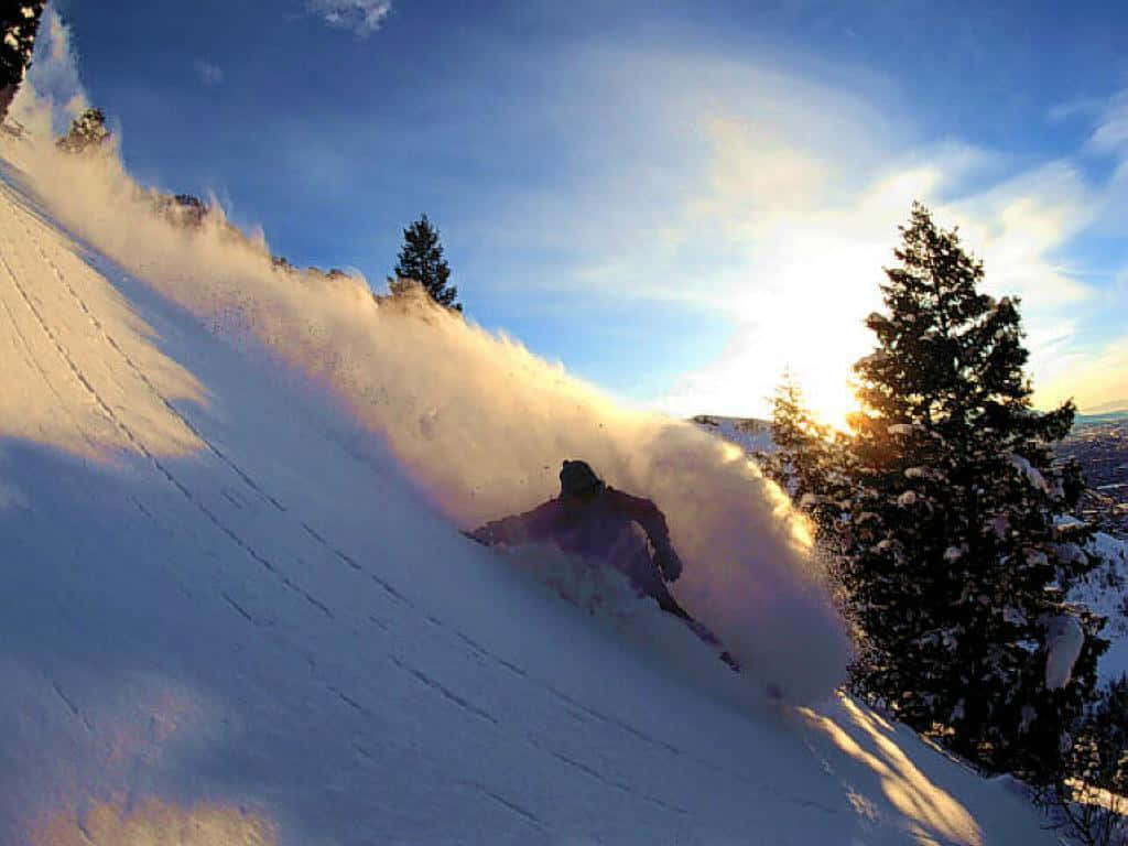 winter sports, skier, fresh powder, SD Desktop Wallpaper
