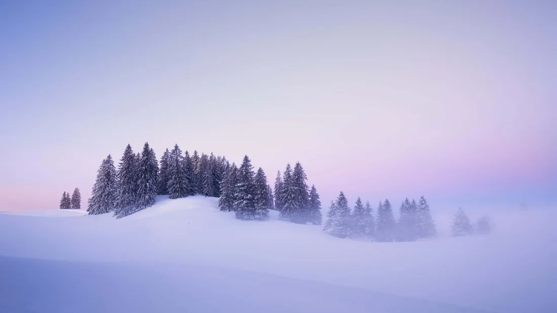 Winter Sun