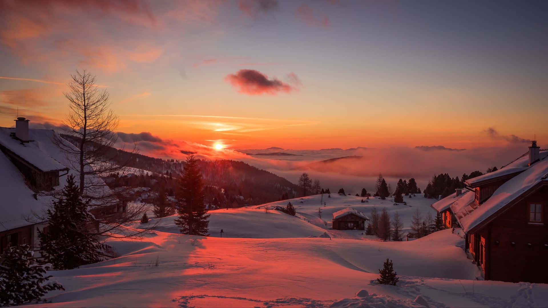 Winter Sun, snow-covered trees, fiery orange sunset, Full HD Desktop Wallpaper