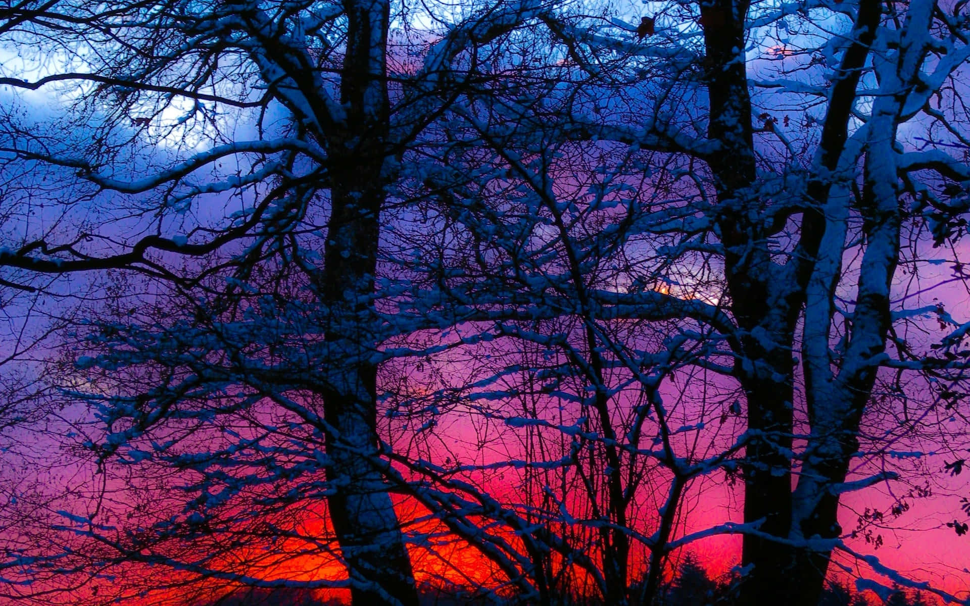 Winter Sun, twilight sky, fiery orange, Full HD Desktop Wallpaper