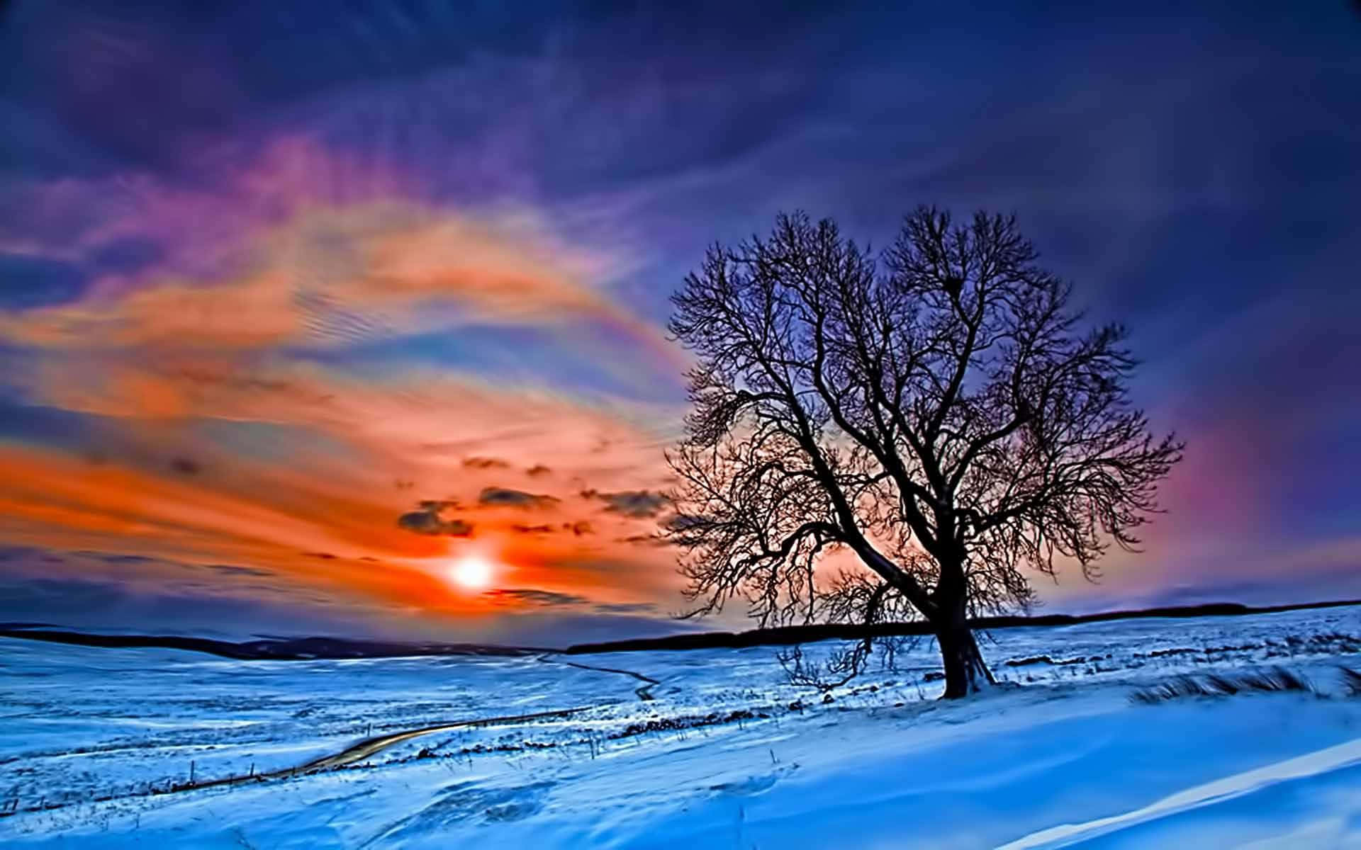 Winter Sun, sunset, snow-covered trees, Full HD Desktop Wallpaper