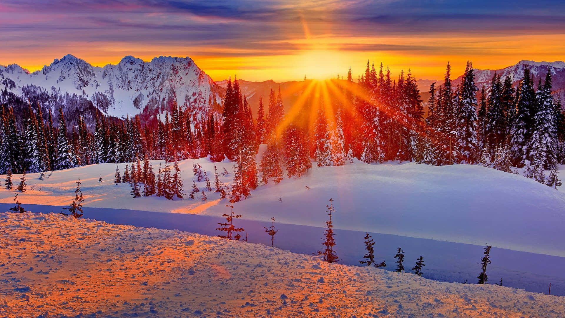 Winter Sun, snowy peaks, pine forests, Full HD Desktop Wallpaper