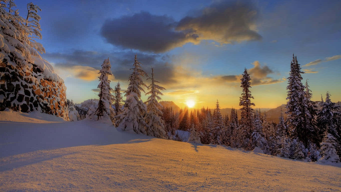 Winter Sun, snow-covered pine trees, rocky outcrops, HD Desktop Wallpaper