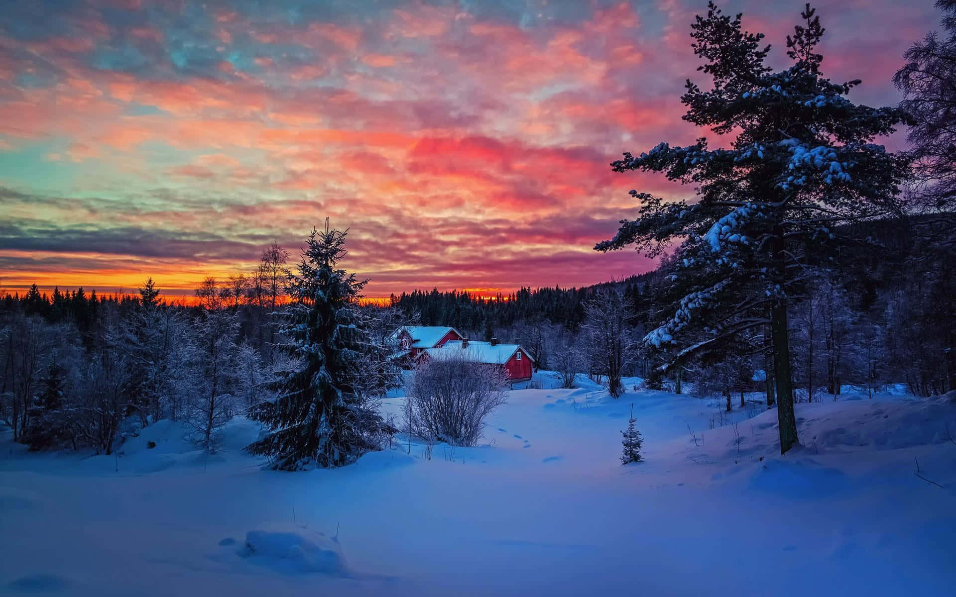 Winter Sun, sunset, snowy forest, Full HD Desktop Wallpaper