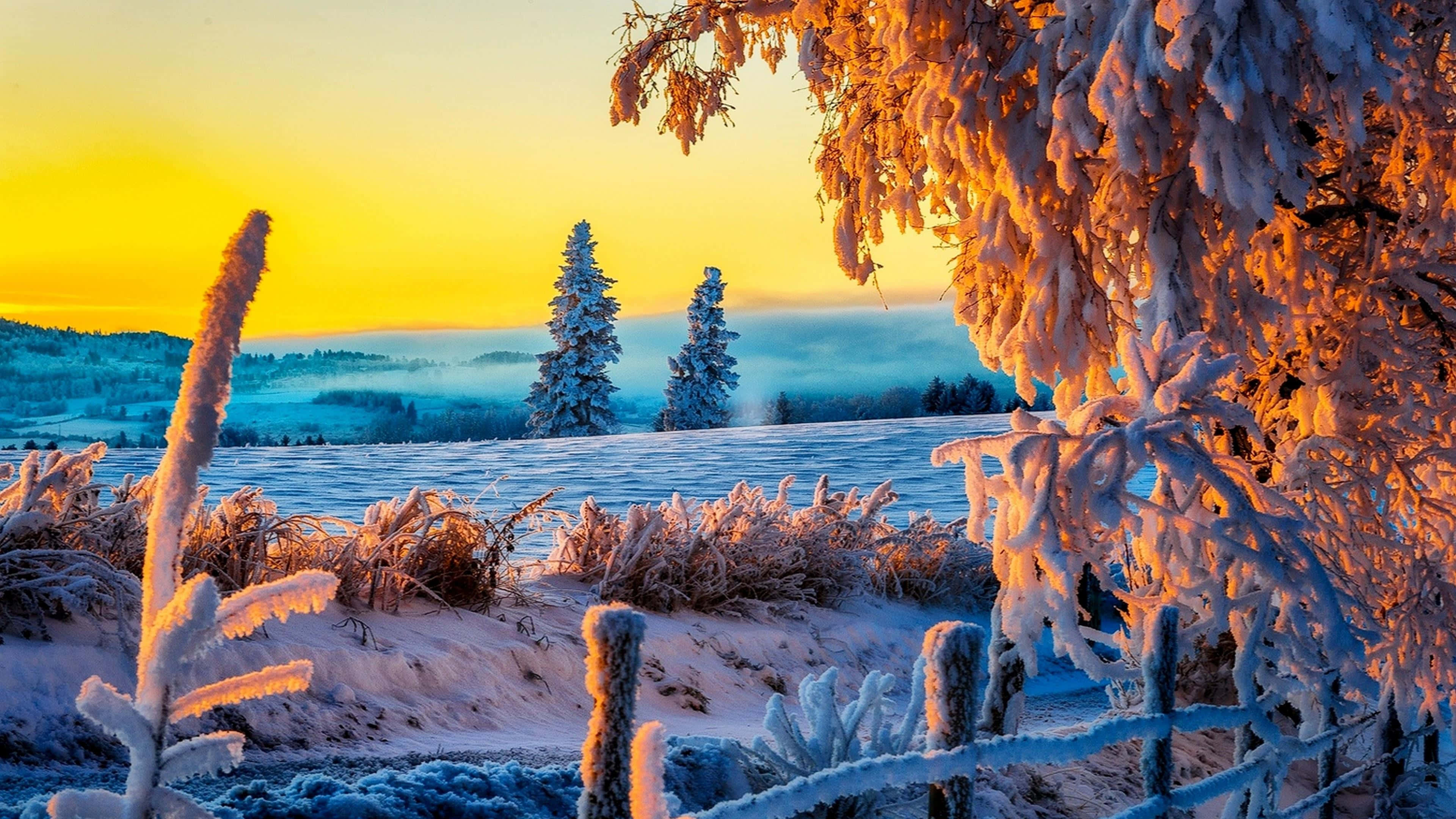 Winter Sunset, snowy landscape, warm glow of the setting sun, 4K Desktop Wallpaper