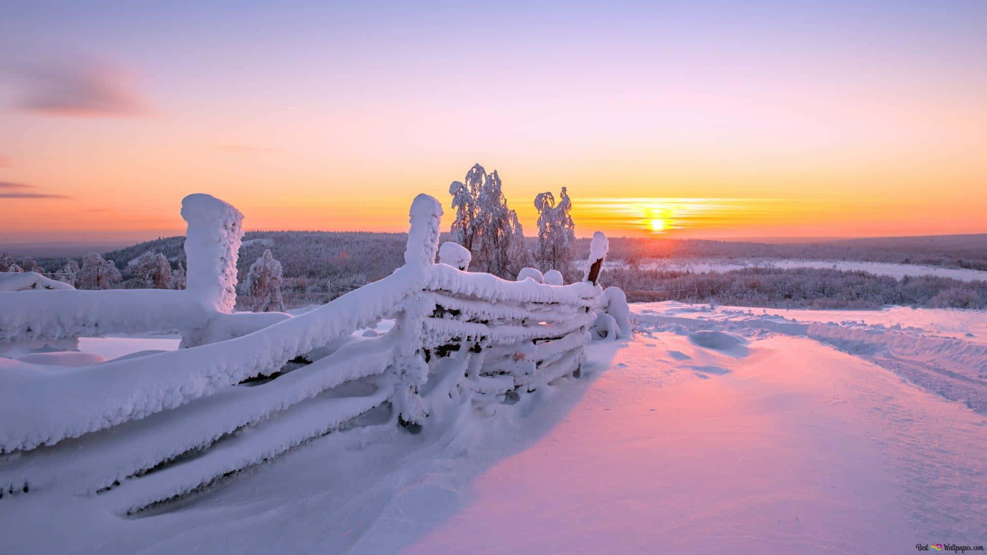 Winter Sun, snow-covered wooden fence, winter sunrise, Full HD Desktop Wallpaper