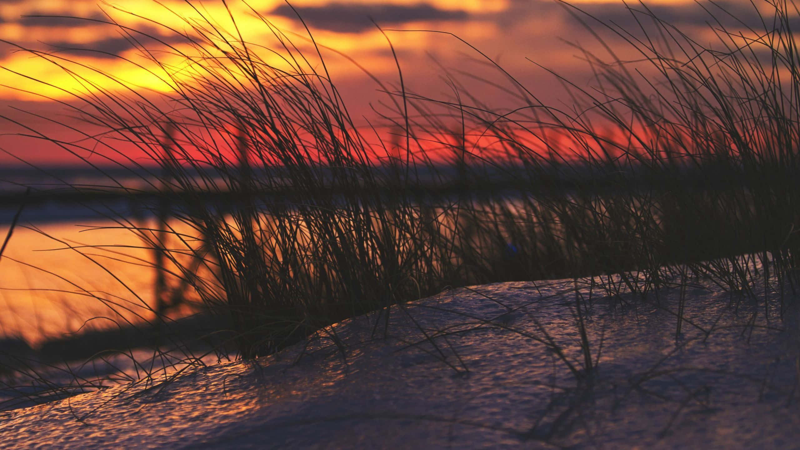Winter Sunset, fiery sunset, snowy landscape, 2K Desktop Wallpaper