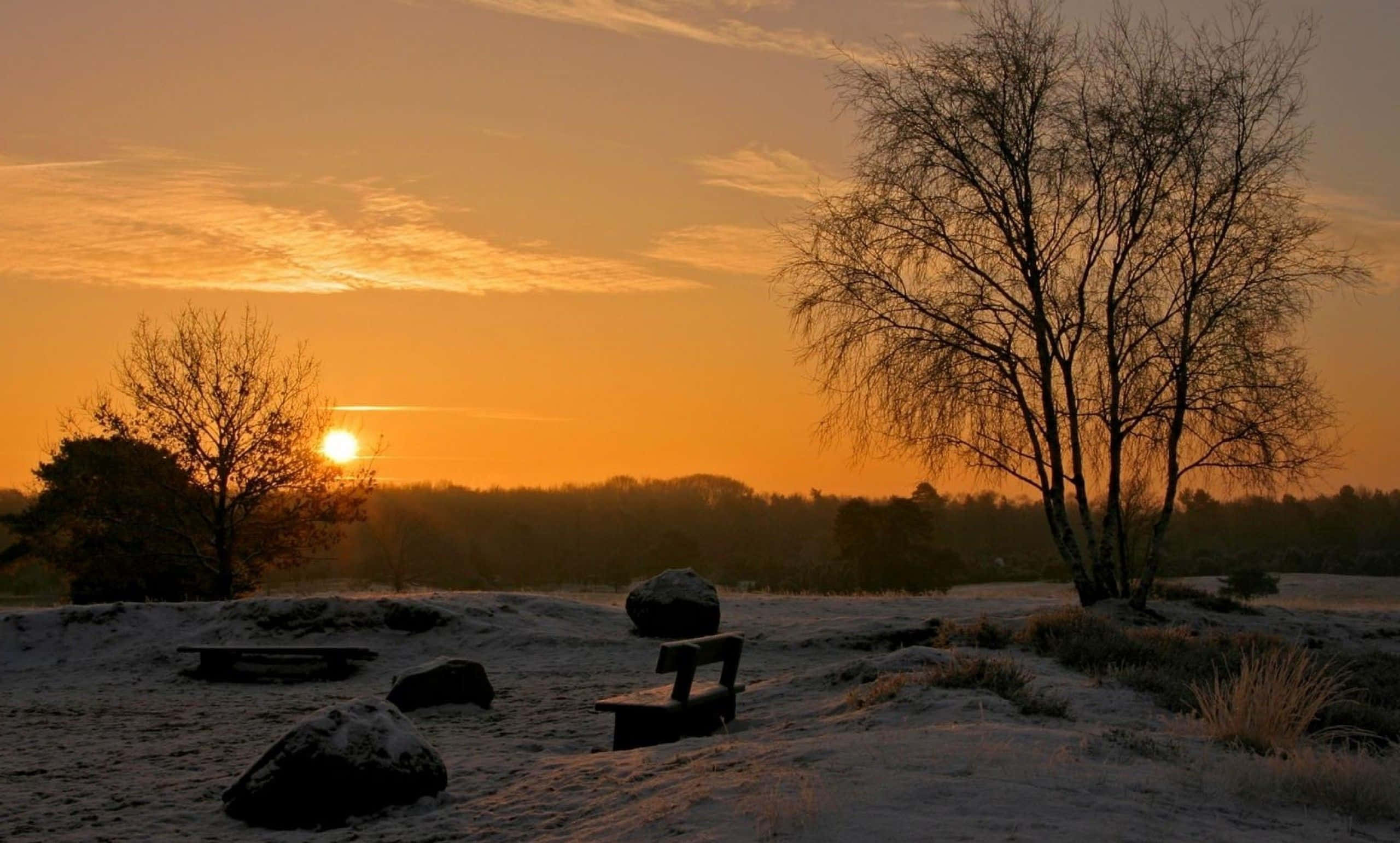 Winter Sun, frosty field, sunrise, 2K Desktop Wallpaper