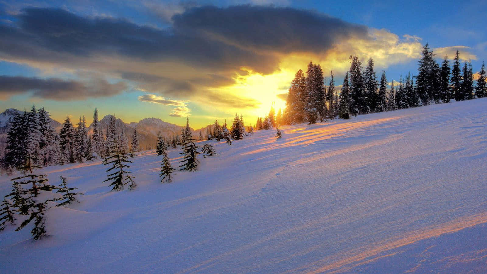 Winter Sunset, snowy mountains, pine trees, HD Desktop Wallpaper