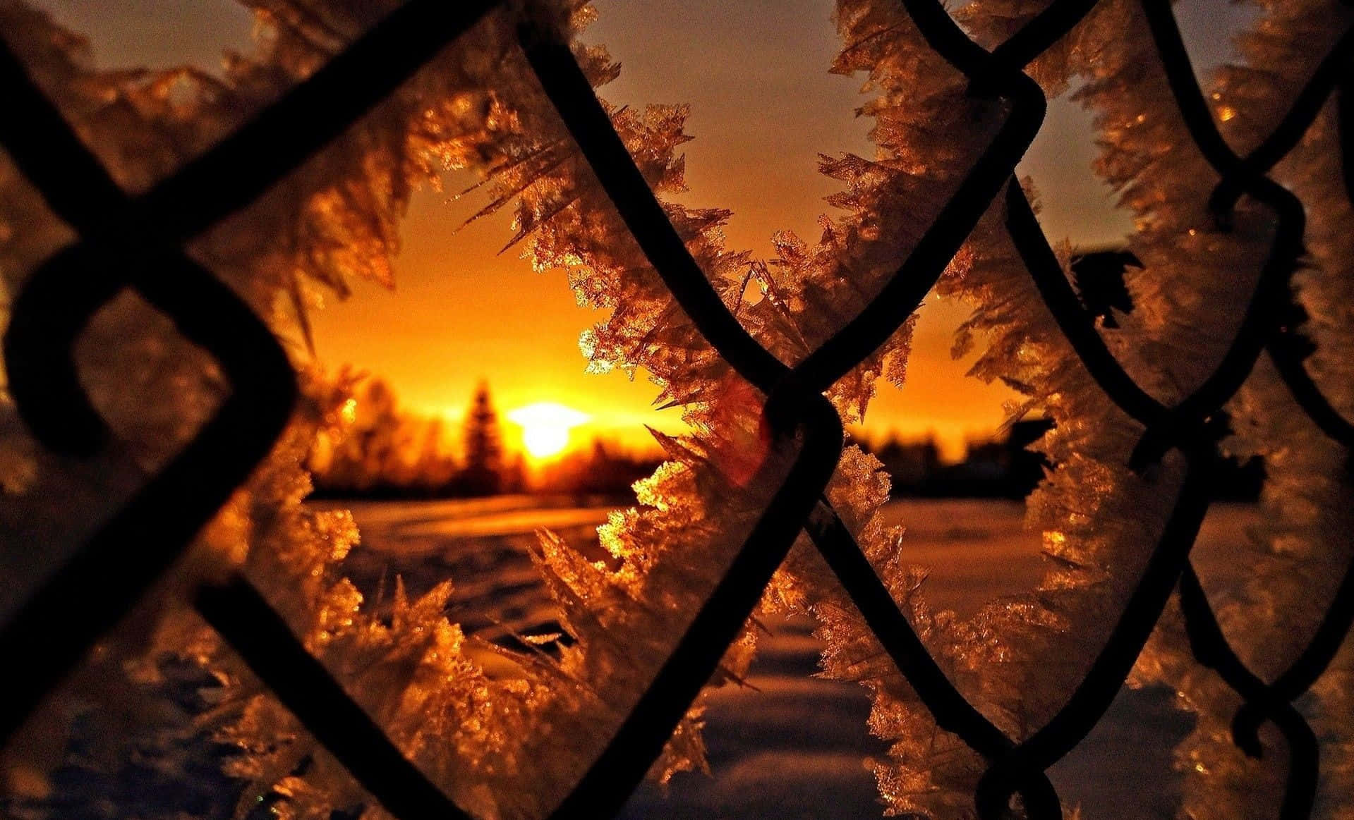 Winter Sunset, 1919 x 1163, frozen chain-link fence, HD Desktop Wallpaper