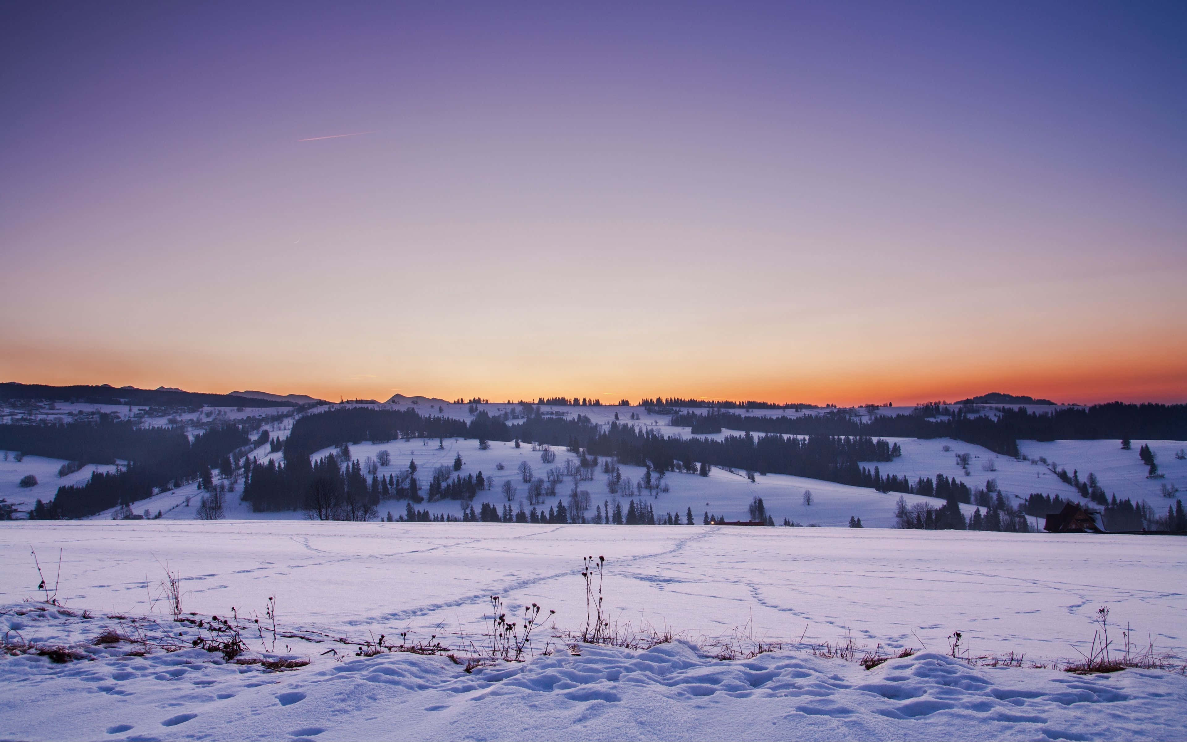 Winter Sunset, snow-covered landscape, purple orange and gold, 4K Desktop Wallpaper