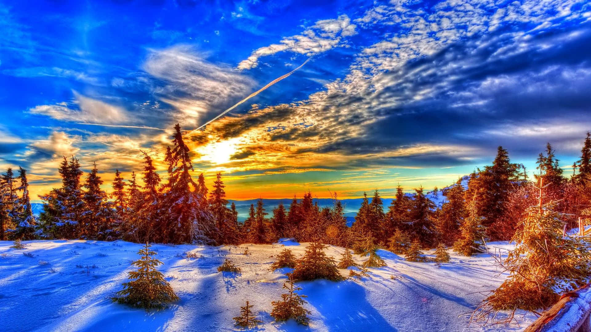 Winter Sunset, snowy pine forest, golden sunset light, Full HD Desktop Wallpaper