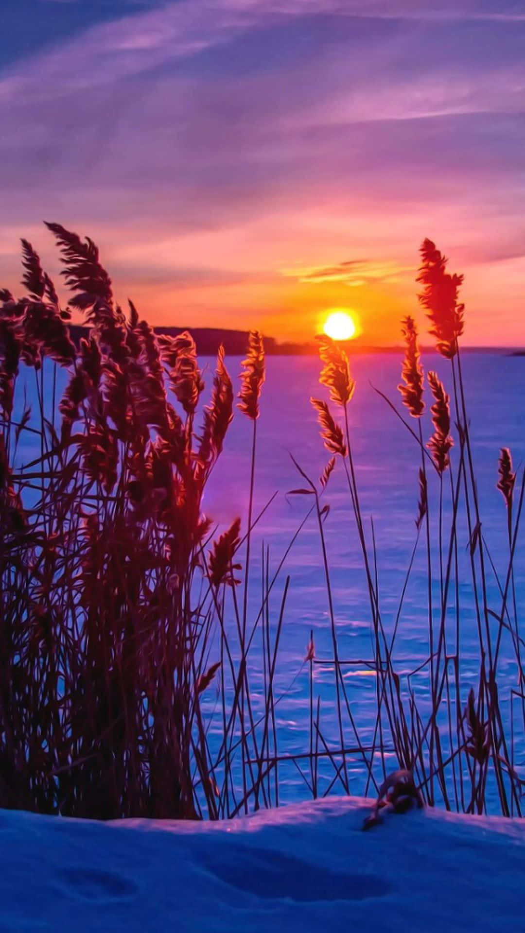 Winter Sunset, orange and purple, reeds, Full HD Phone Wallpaper