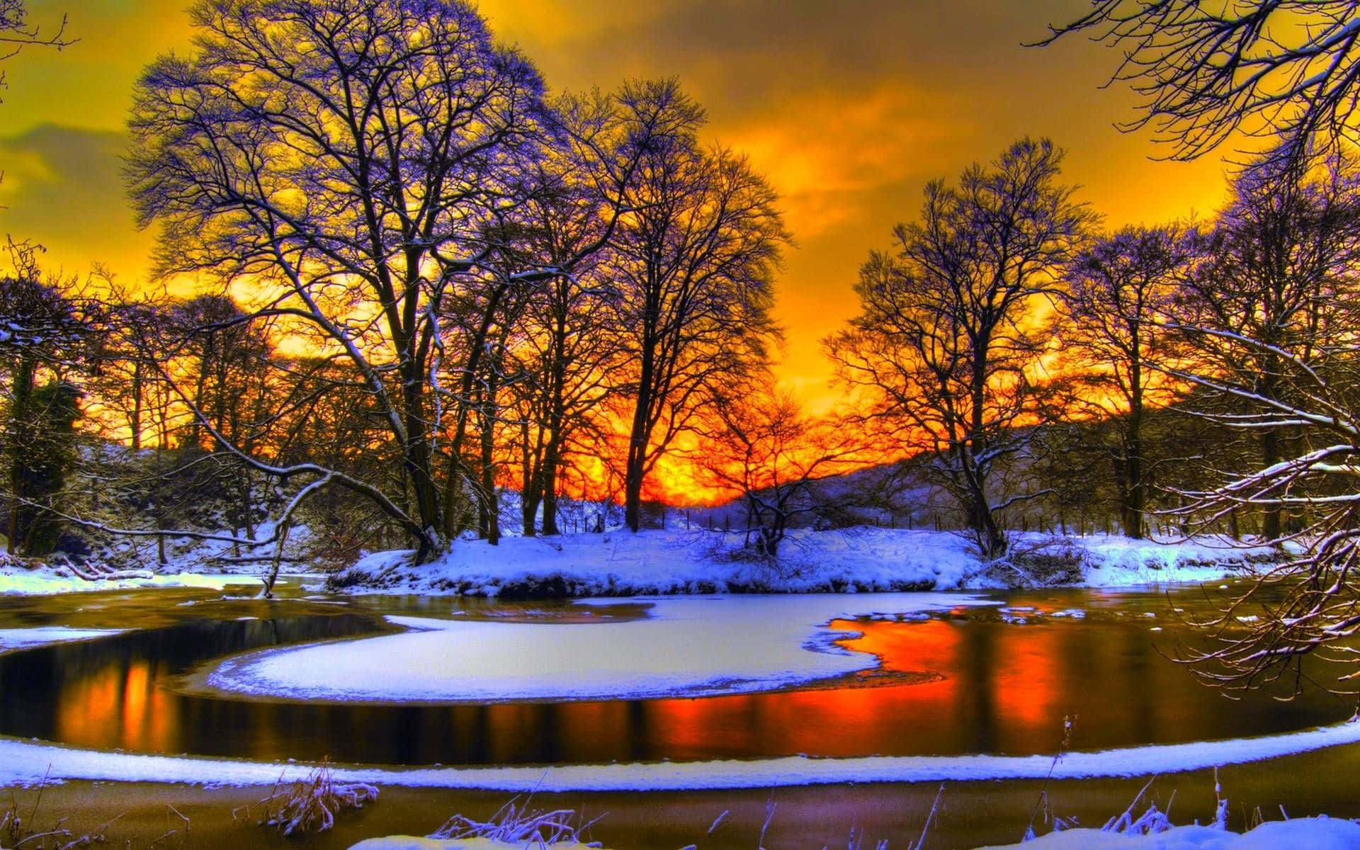 Winter Sunset, fiery orange sunset sky, snow blankets bare trees, Full HD Desktop Wallpaper