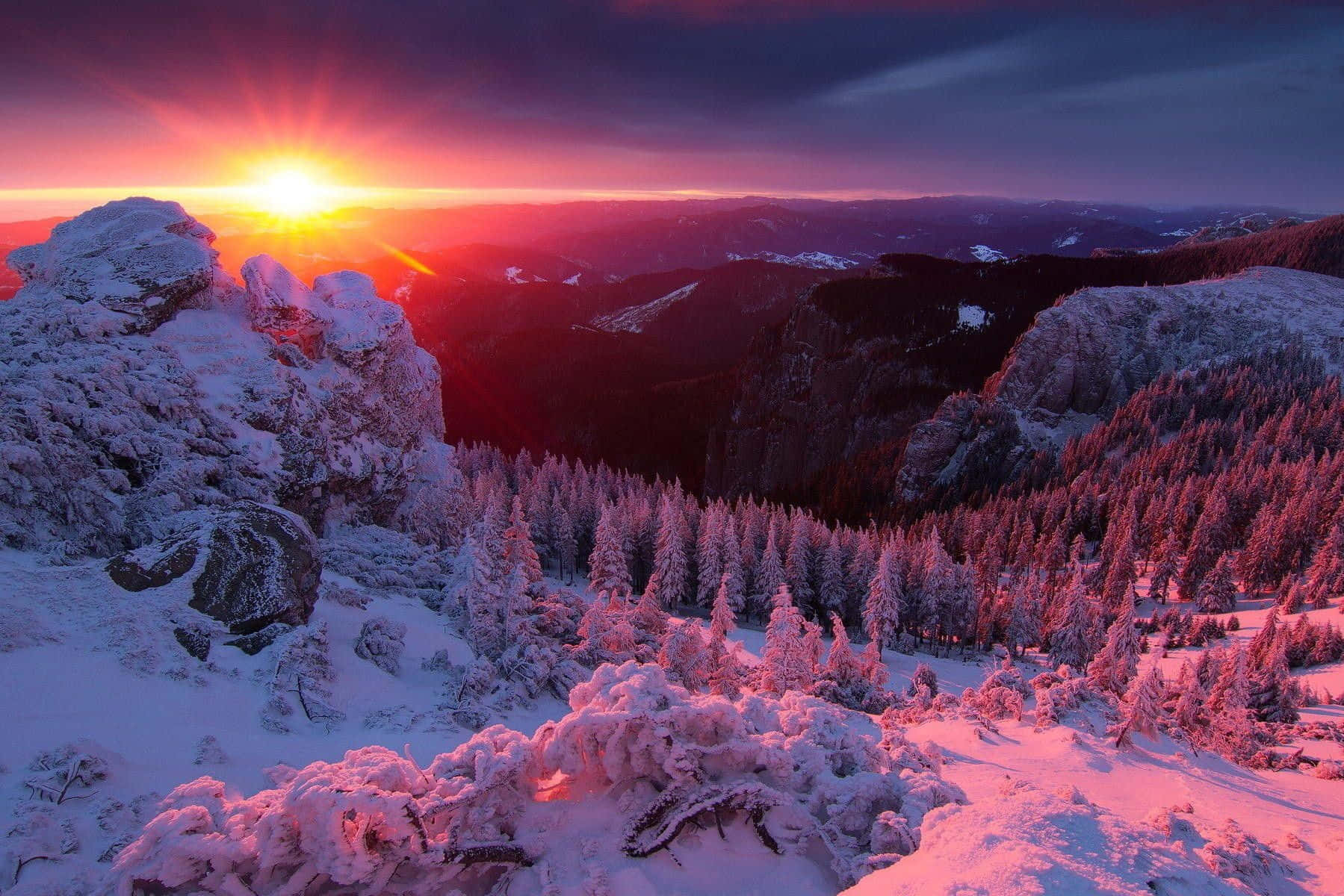 Winter Sunset, snow-covered mountains, pine forests, HD Desktop Wallpaper