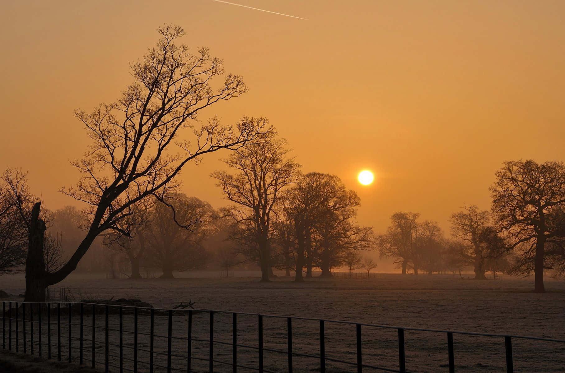 Winter Sunset, frosty field, sunrise, HD Desktop Wallpaper