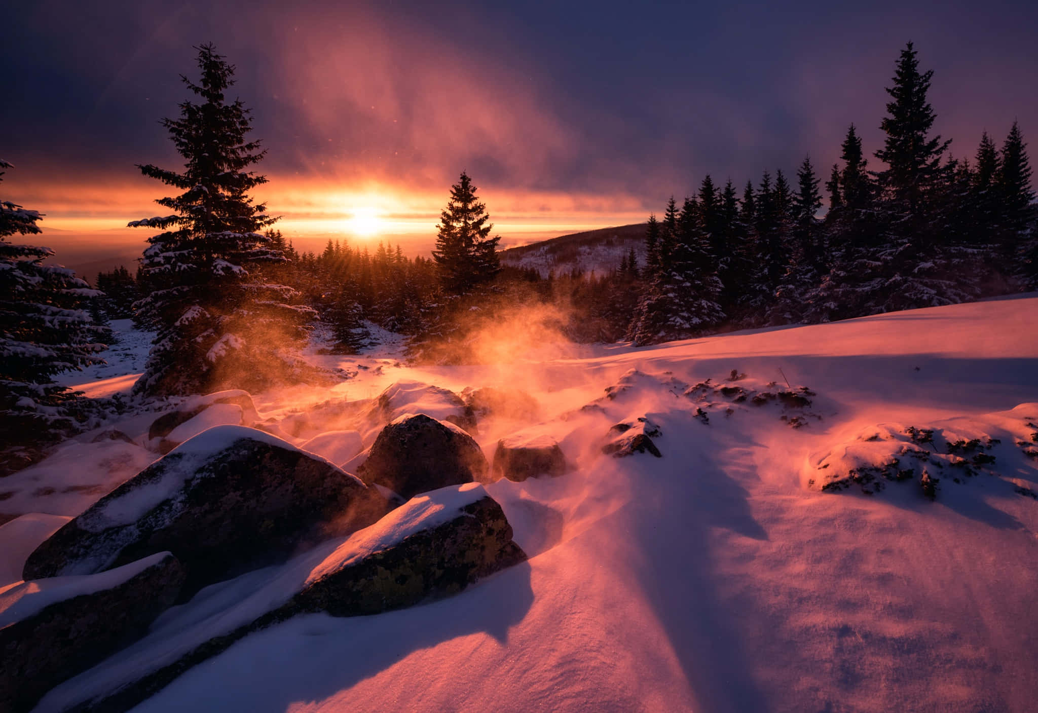 Winter Sunset, snowy mountains, pine trees, Full HD Desktop Wallpaper