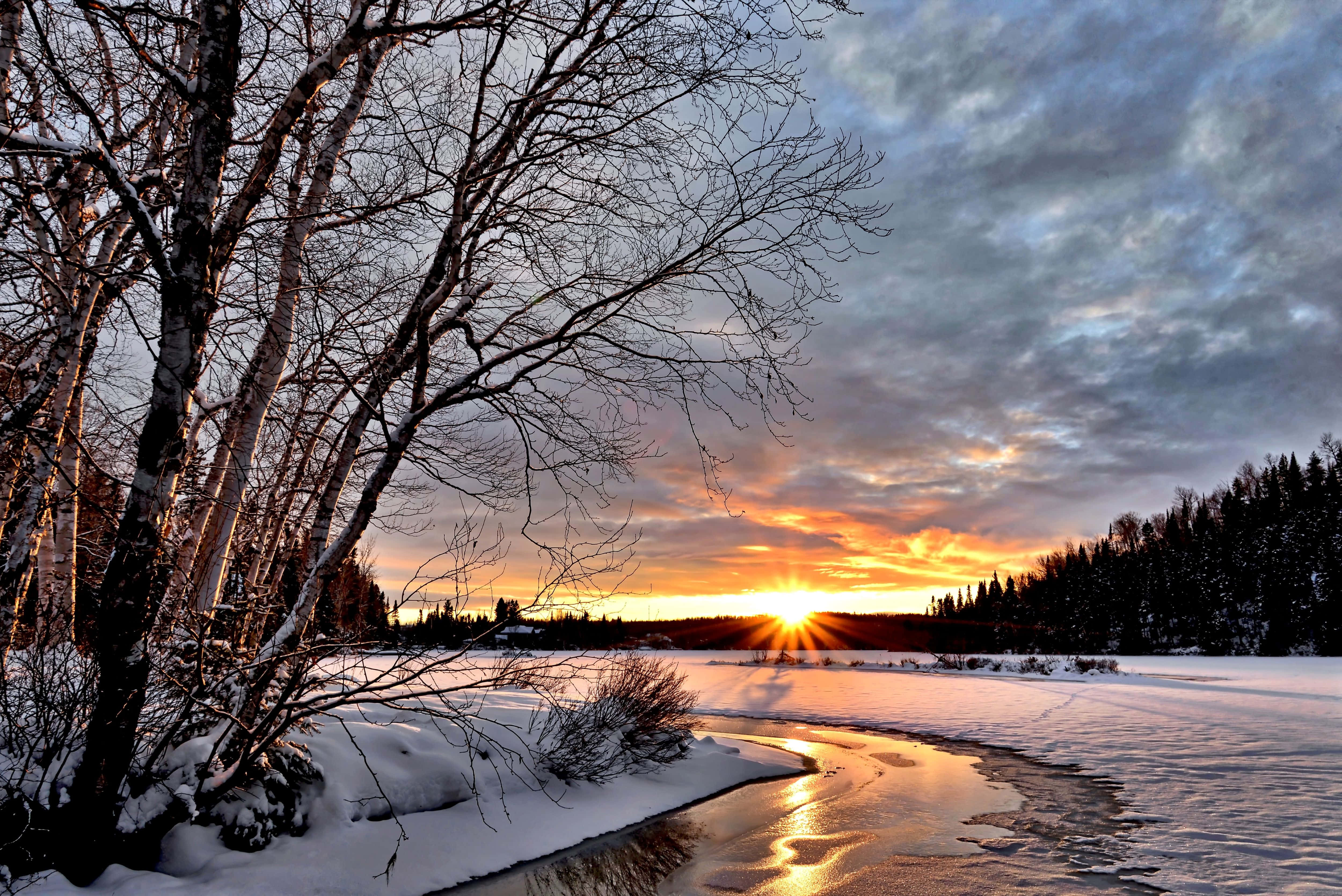 Winter Sunset, sunset, bare birch branches, 4K Desktop Wallpaper