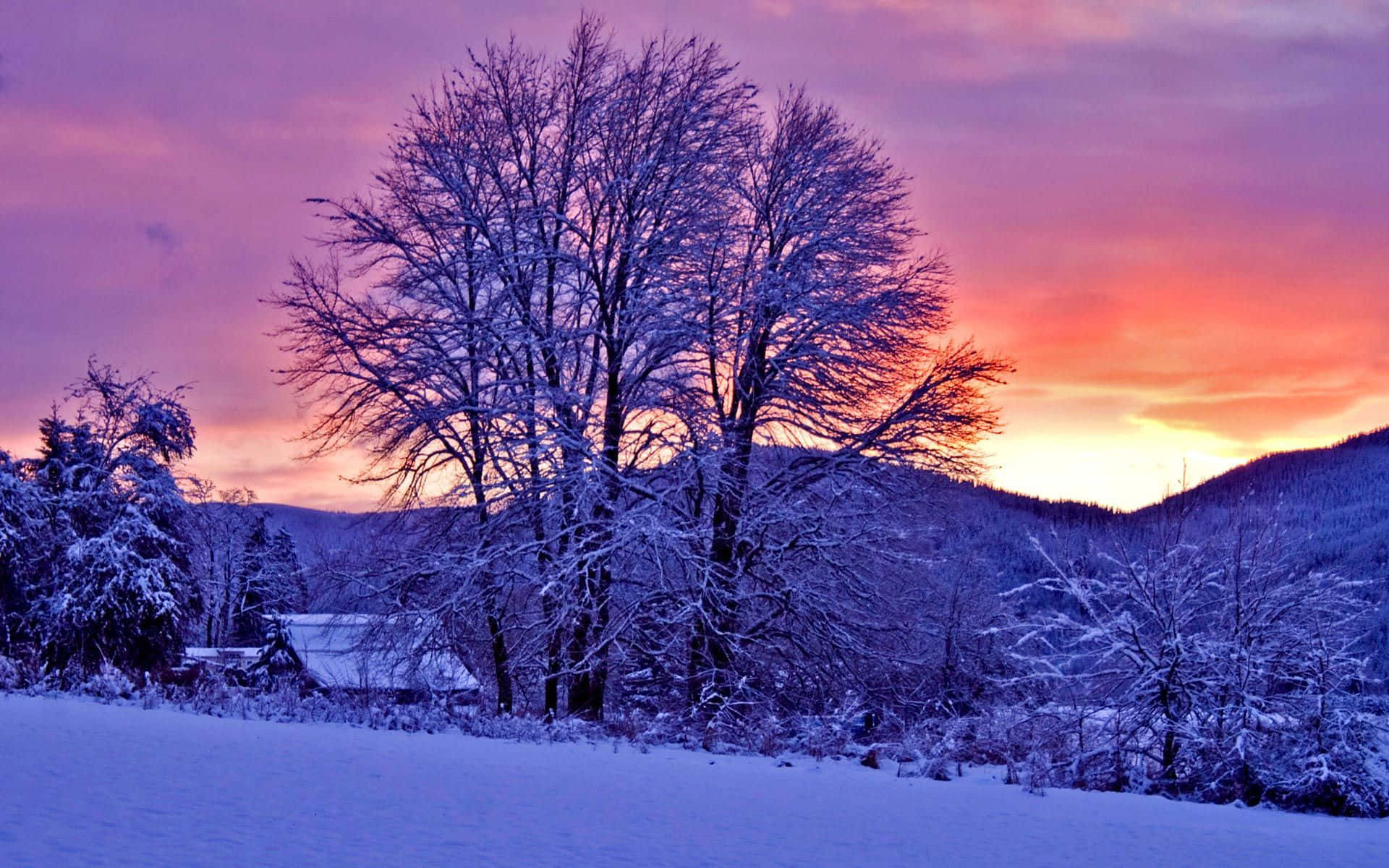 Winter Sunset, purple, orange, Full HD Desktop Wallpaper