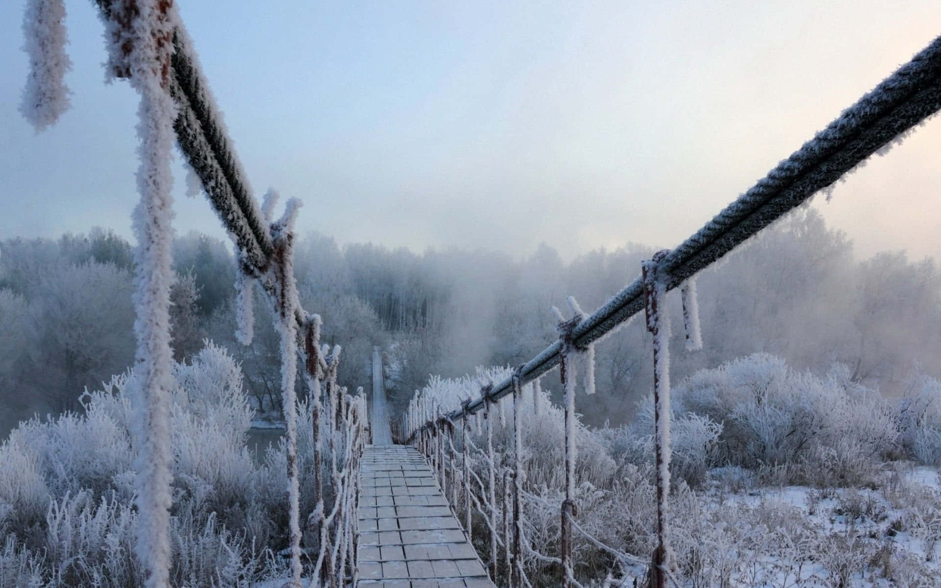 Winter Trees, frost-covered wooden bridge, misty winter forest, Full HD Desktop Wallpaper
