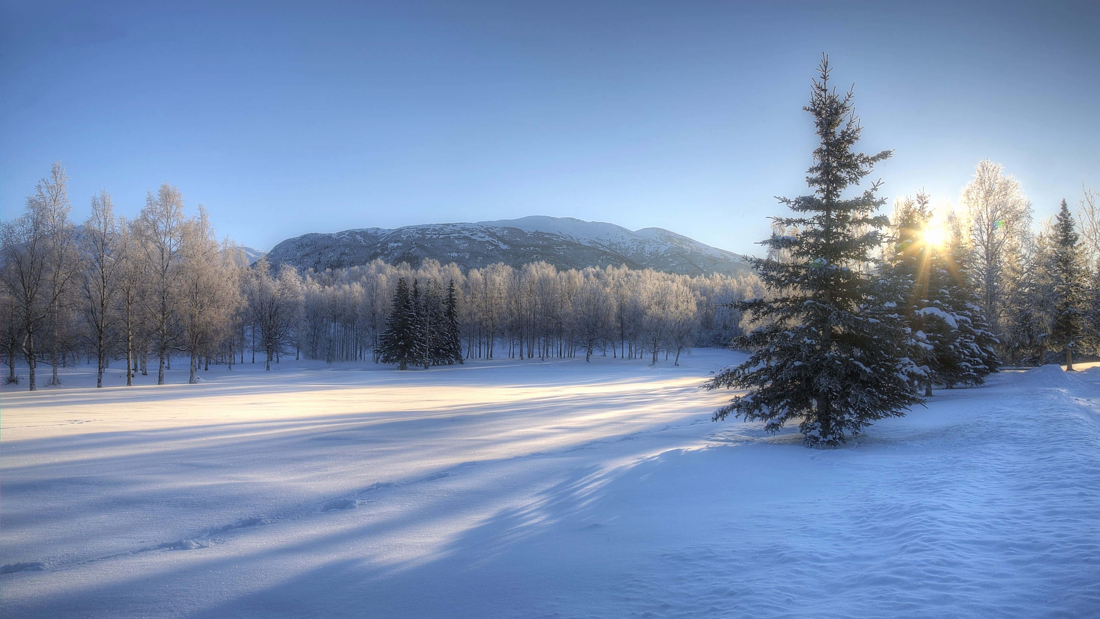 Winter wonderland, snow-covered trees, mountains, 4K Desktop Wallpaper