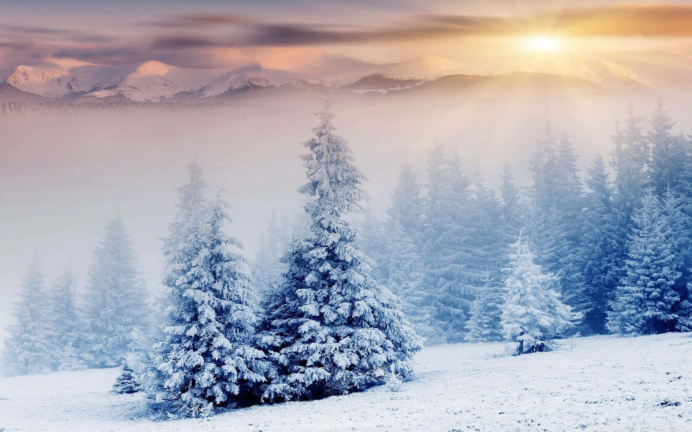 Winter wonderland, sunlight, mist, Full HD Desktop Wallpaper