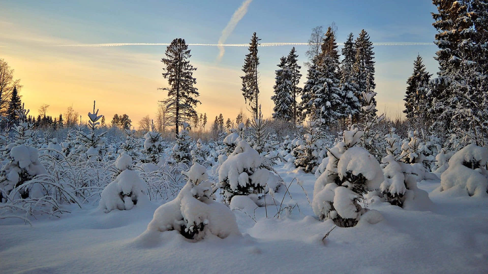 Winter wonderland, 1920 x 1080, snow, Full HD Desktop Wallpaper