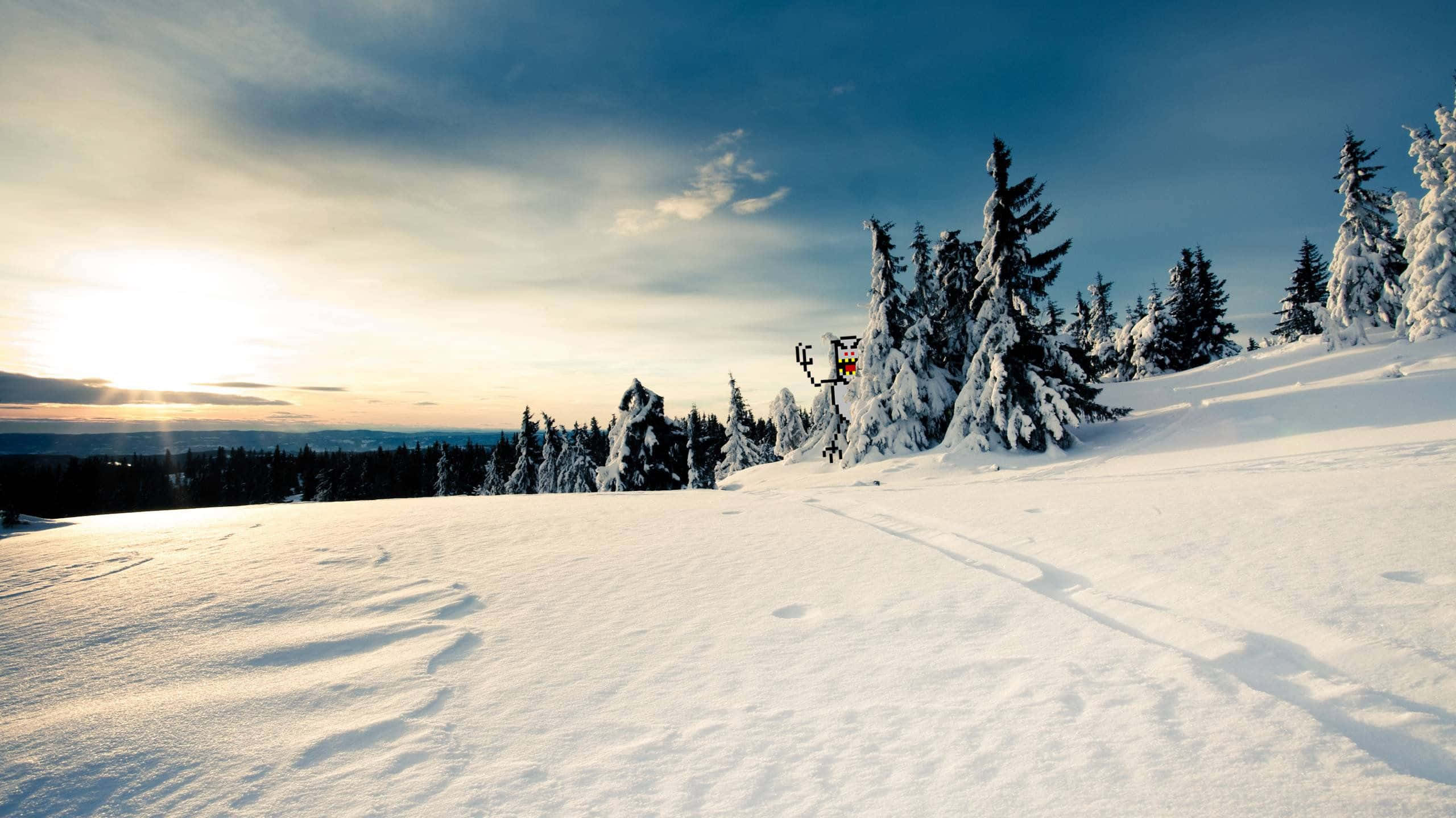 Winter wonderland, snow-covered pine trees, golden light, 2K Desktop Wallpaper