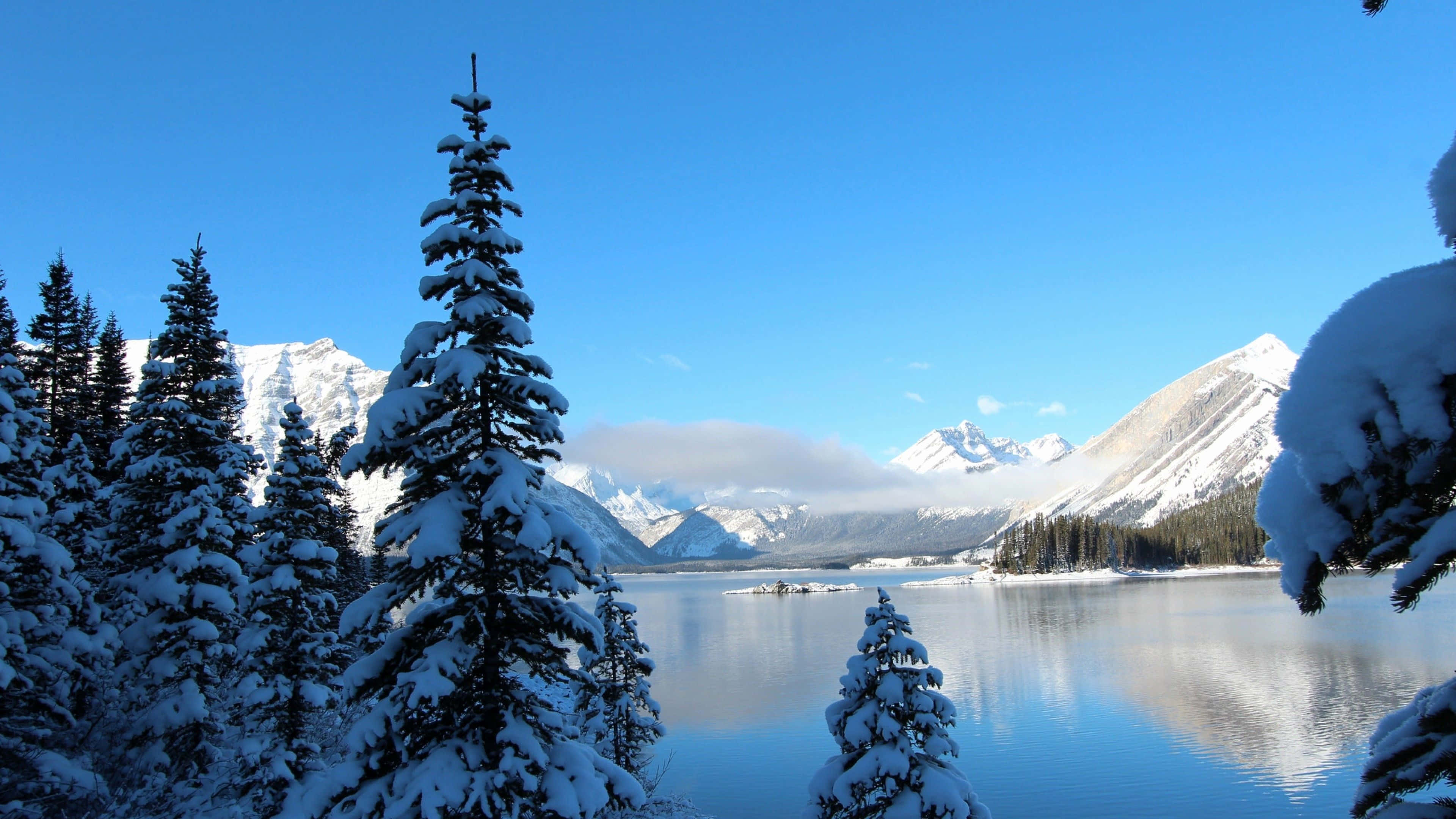 Winter wonderland, snow-laden evergreens, serene frozen lake, 4K Desktop Wallpaper