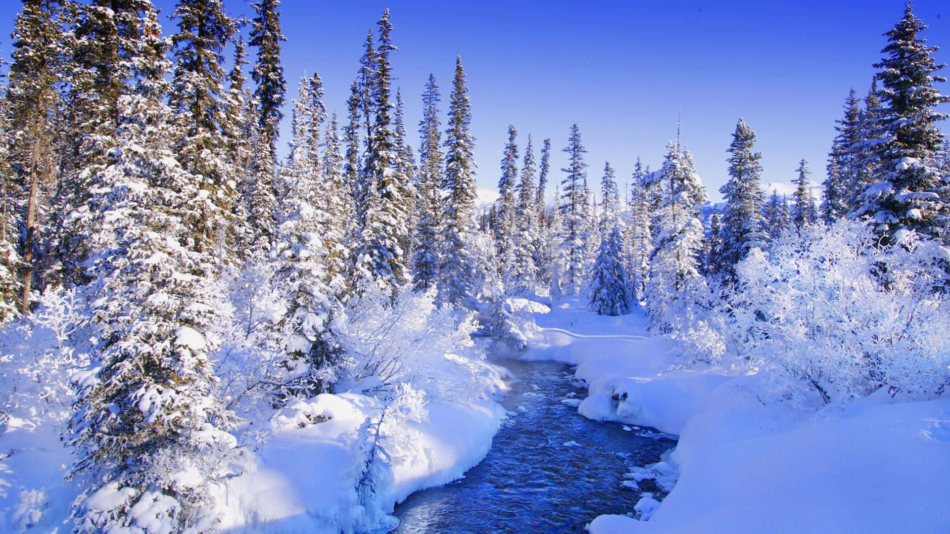 Winter Wonderland, crystal clear stream, snowy forest, Full HD Desktop Wallpaper