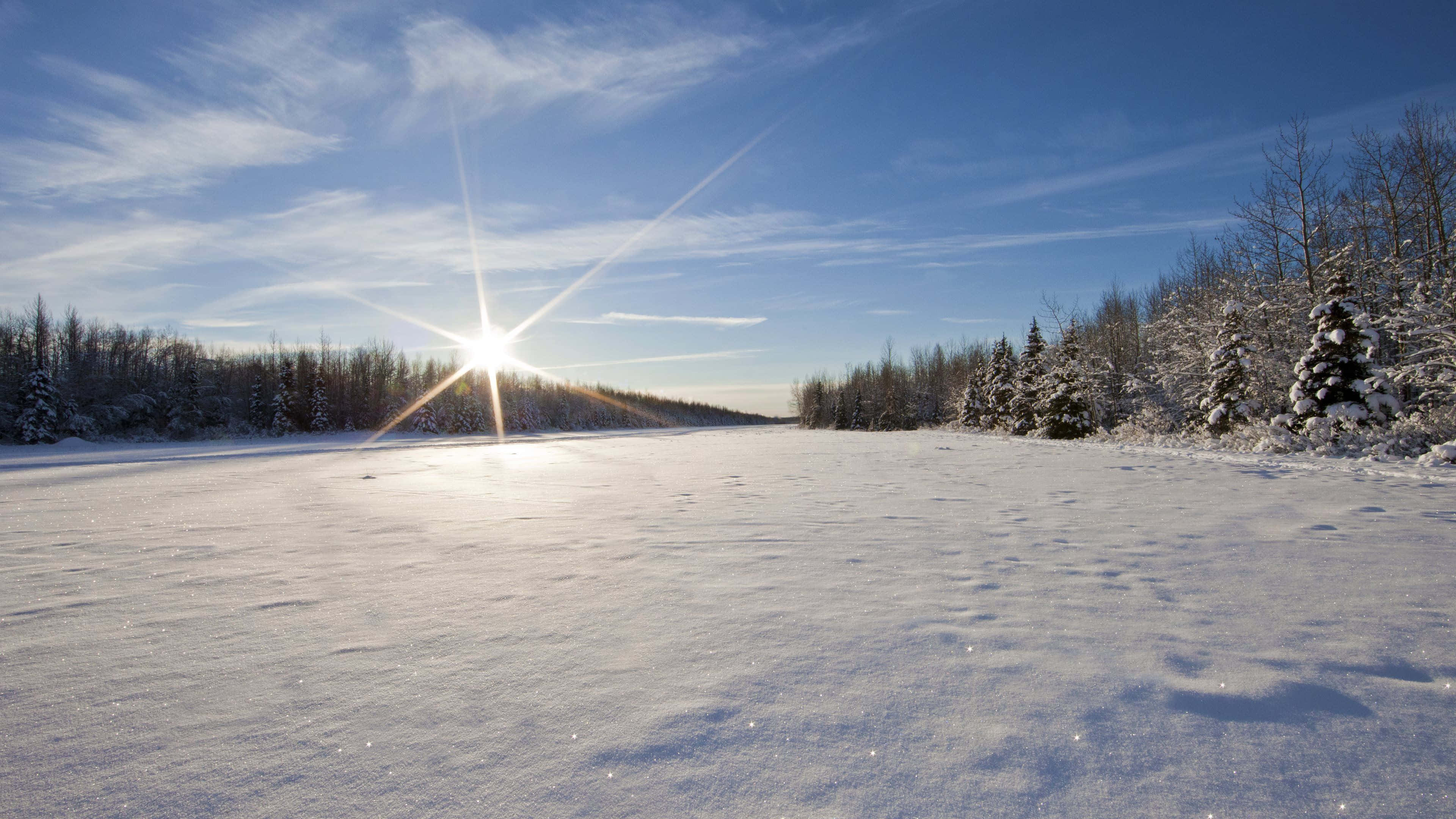 Winter wonderland, frozen lake, snow-laden evergreen trees, 4K Desktop Wallpaper