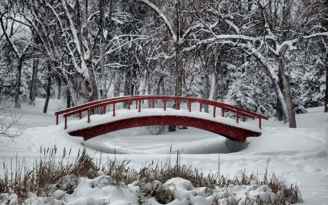 Winter wonderland, red arched bridge, snow-covered, SD Desktop Wallpaper