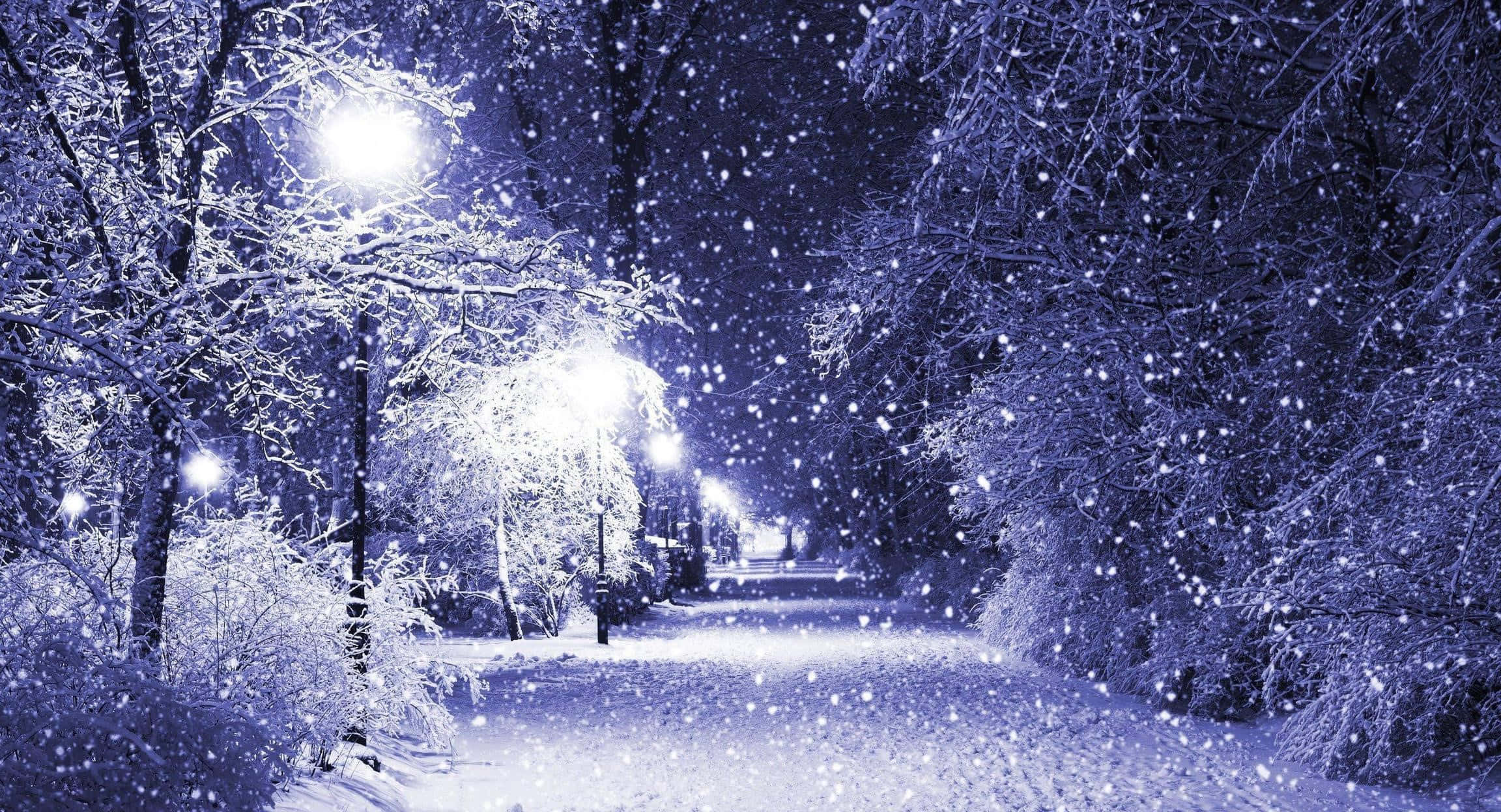 Winter wonderland, moonlit winter park, glowing streetlights, Full HD Desktop Wallpaper