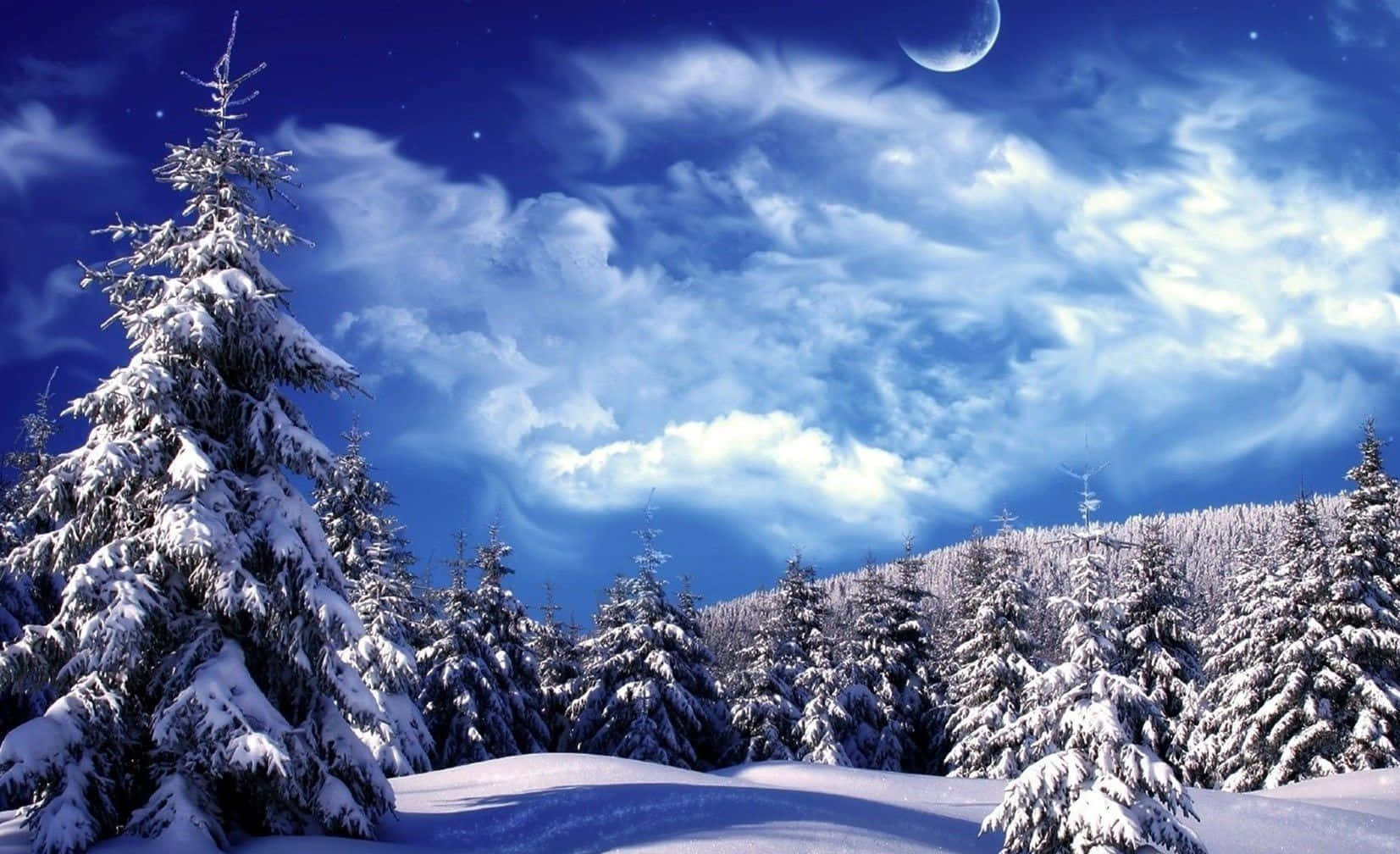 Winter wonderland, snow-covered pine trees, vibrant blue night sky, HD Desktop Wallpaper
