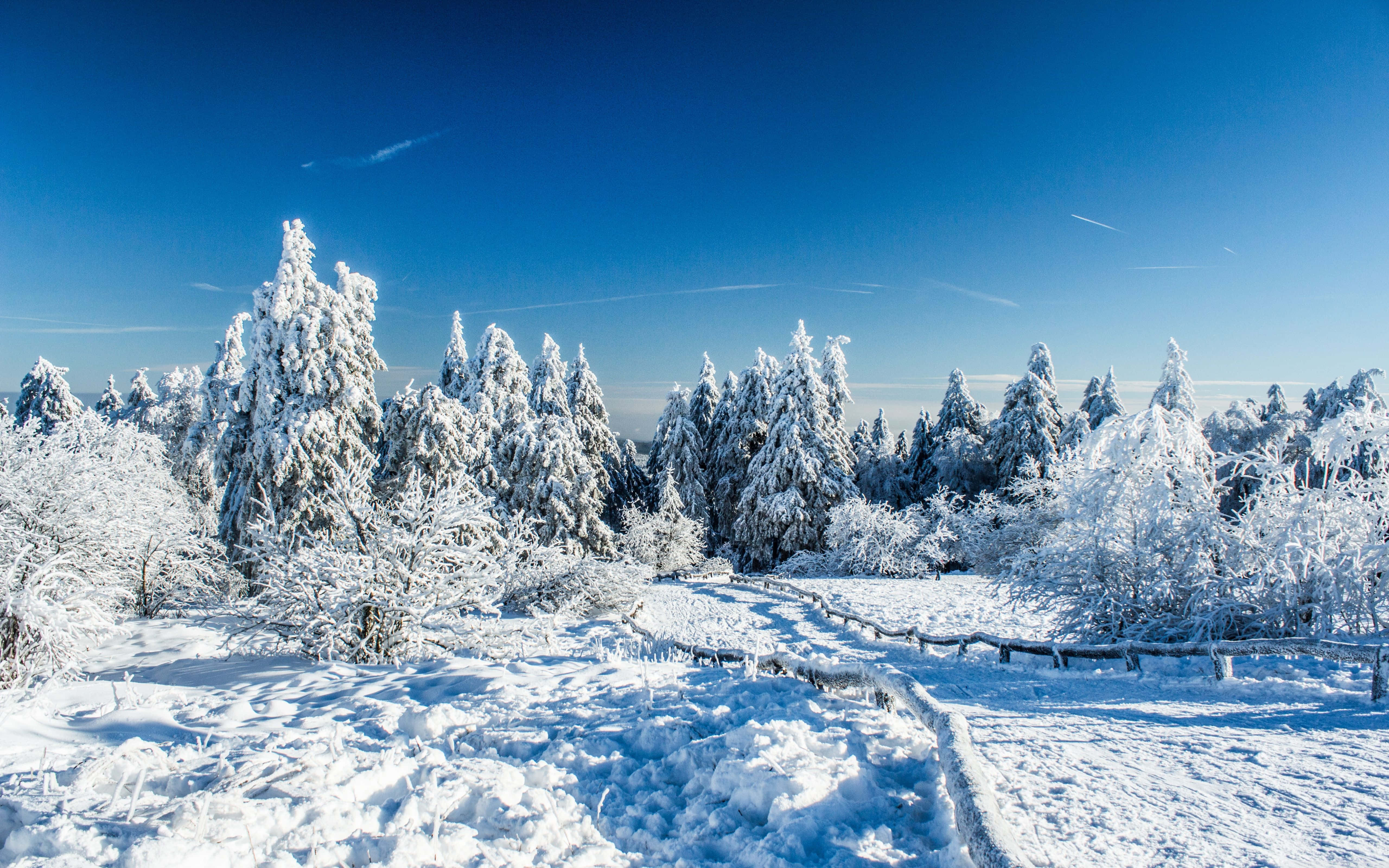 winter wonderland, snow, crisp blue sky, 5K Desktop Wallpaper