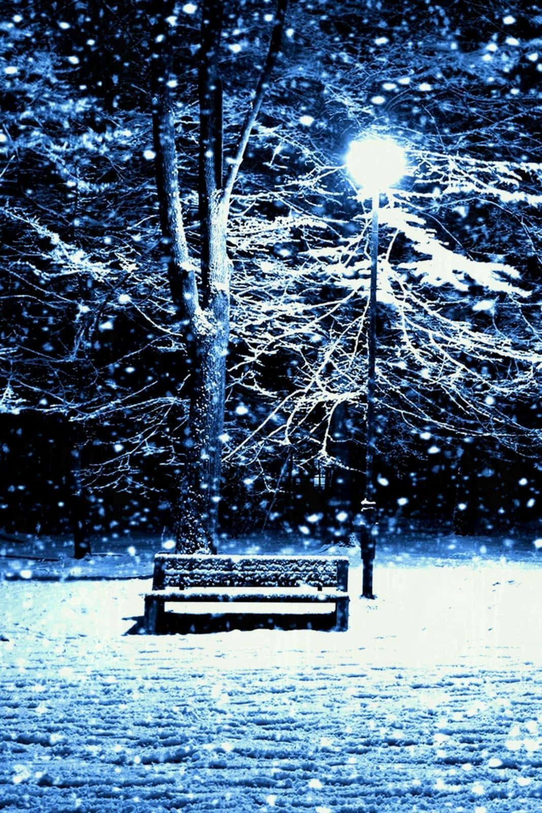 cozy winter wonderland, snow-covered bench, streetlamp, HD Phone Wallpaper