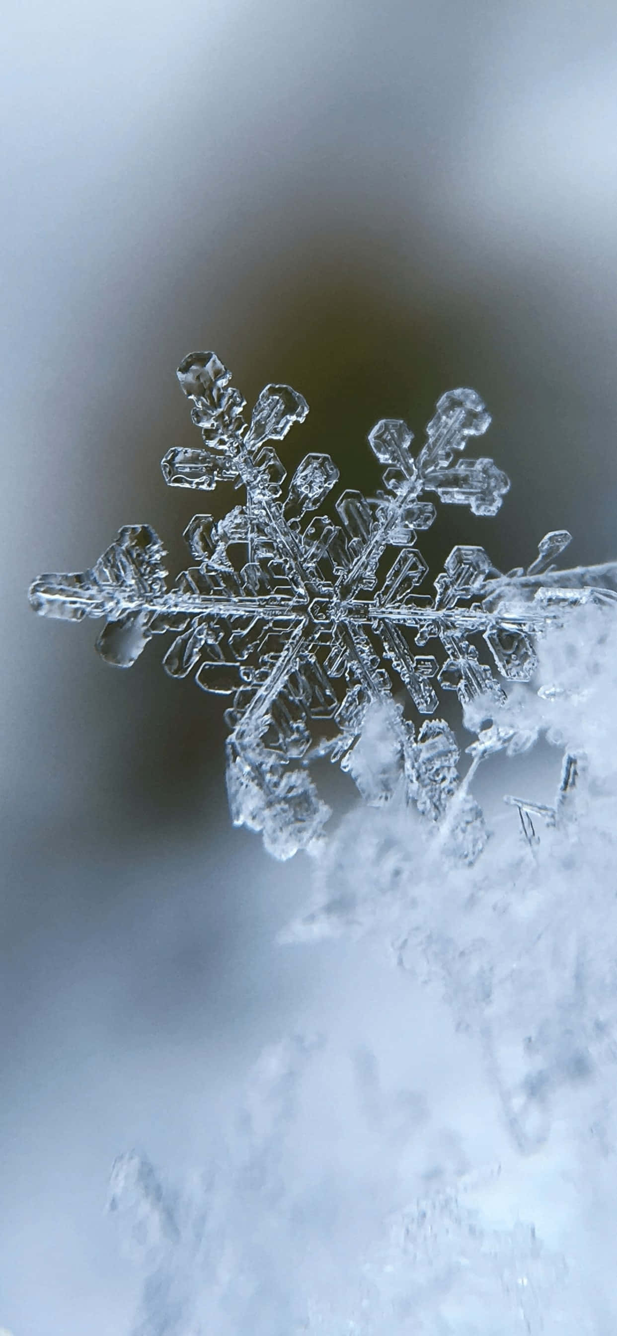 cute winter aesthetic, 1242 x 2688, Cozy Winter Wonderland, 2K Phone Wallpaper