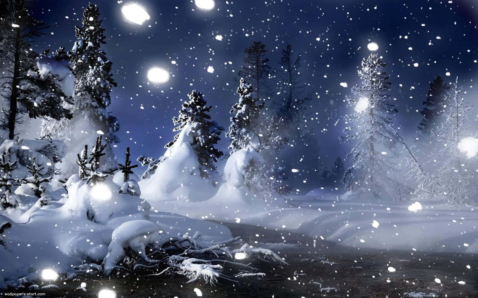 Winter wonderland, snow, pine trees, Full HD Desktop Wallpaper