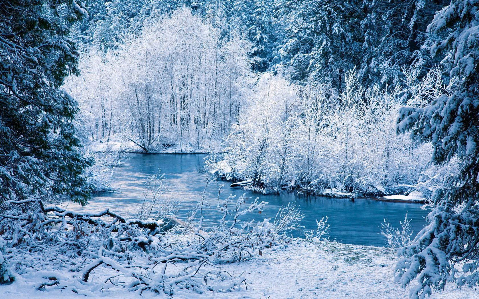 white winter riverside, snow-covered forest, frost-laden trees, HD Desktop Wallpaper