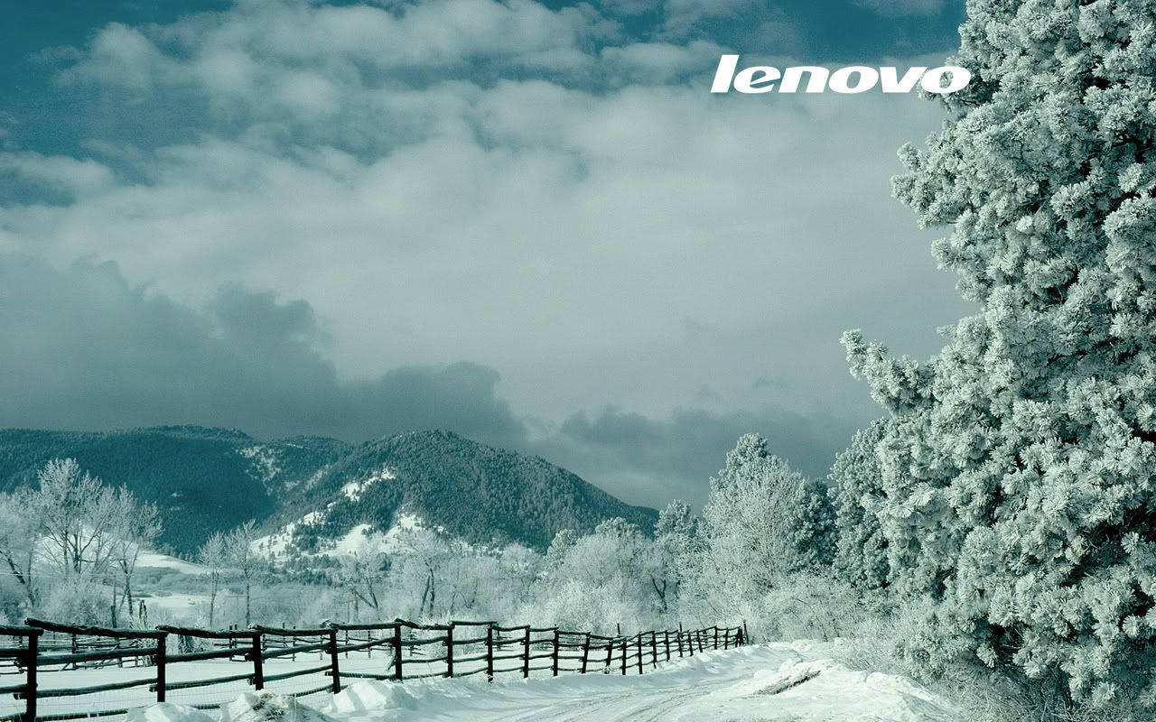 Lenovo tablet, frozen trees, snowy winter landscape, HD Desktop Wallpaper