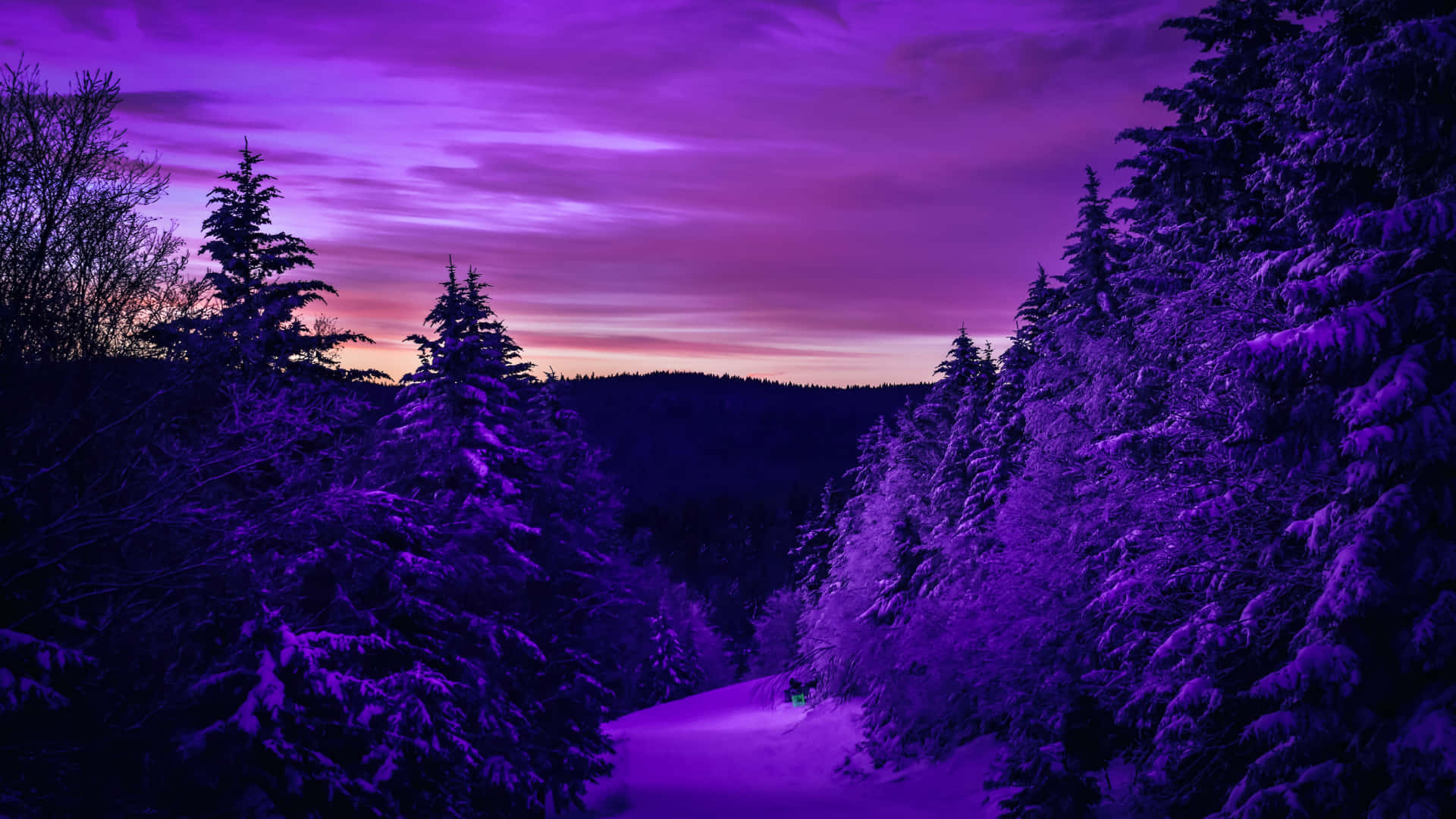 Pretty Purple Snowy Forest Twilight, snowy forest path, snow-covered pine trees, Full HD Desktop Wallpaper