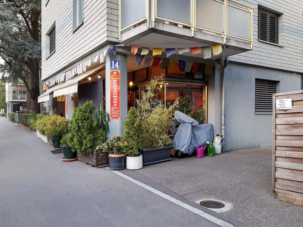 Winterthur, restaurant entrance, potted plants, SD Desktop Wallpaper